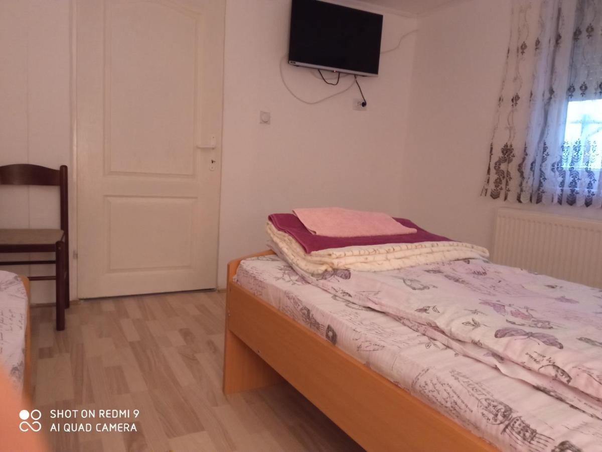 Guest House Vila Banjica Pirot Ngoại thất bức ảnh
