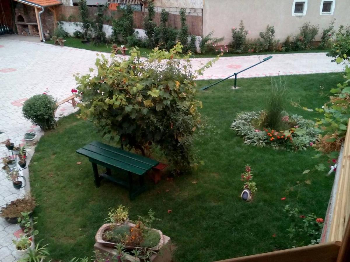 Guest House Vila Banjica Pirot Ngoại thất bức ảnh