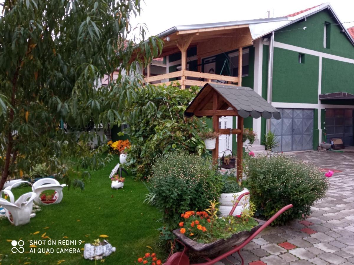 Guest House Vila Banjica Pirot Ngoại thất bức ảnh