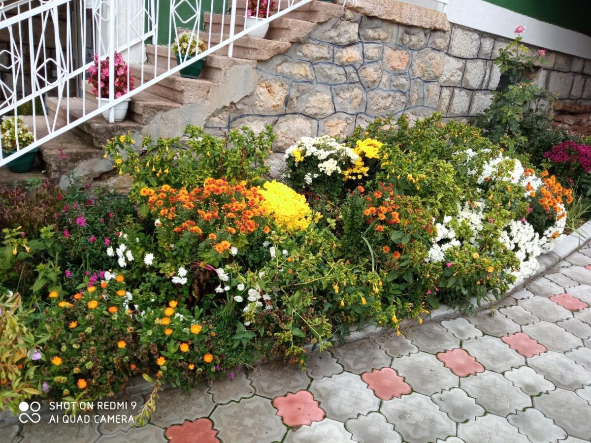 Guest House Vila Banjica Pirot Ngoại thất bức ảnh