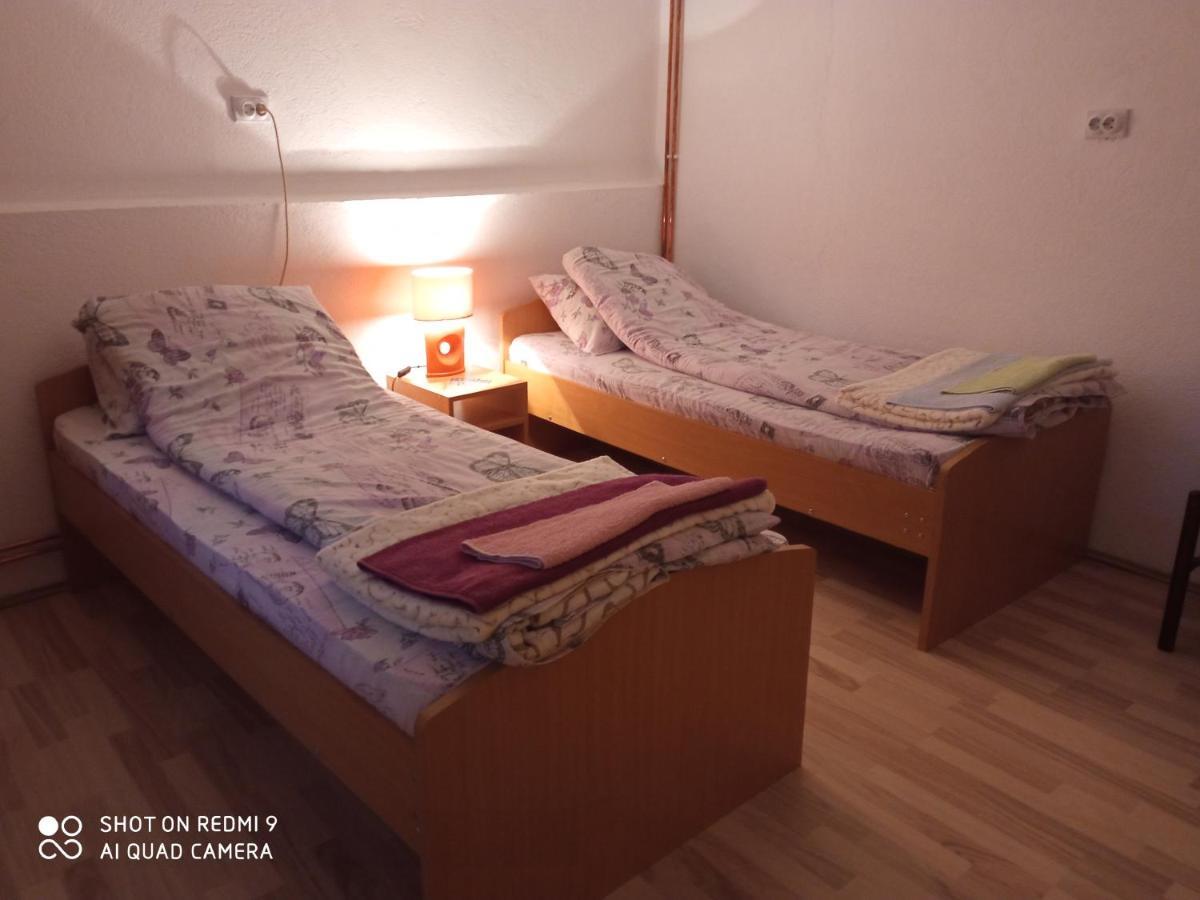 Guest House Vila Banjica Pirot Ngoại thất bức ảnh