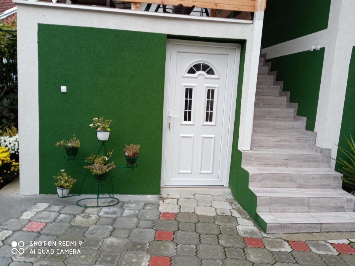 Guest House Vila Banjica Pirot Ngoại thất bức ảnh