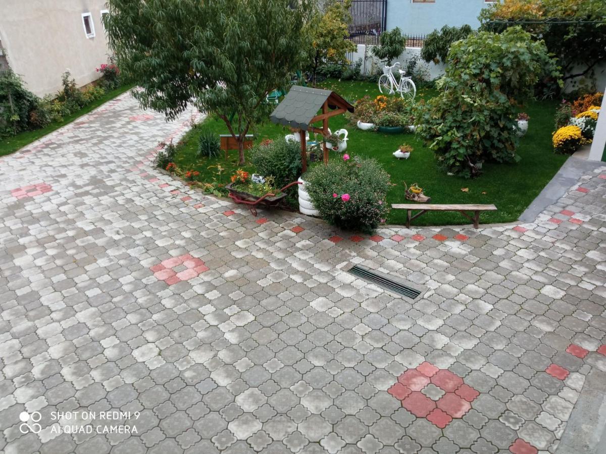 Guest House Vila Banjica Pirot Ngoại thất bức ảnh
