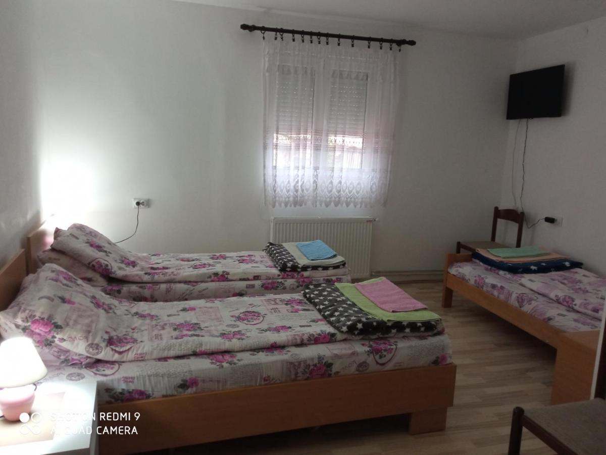 Guest House Vila Banjica Pirot Ngoại thất bức ảnh