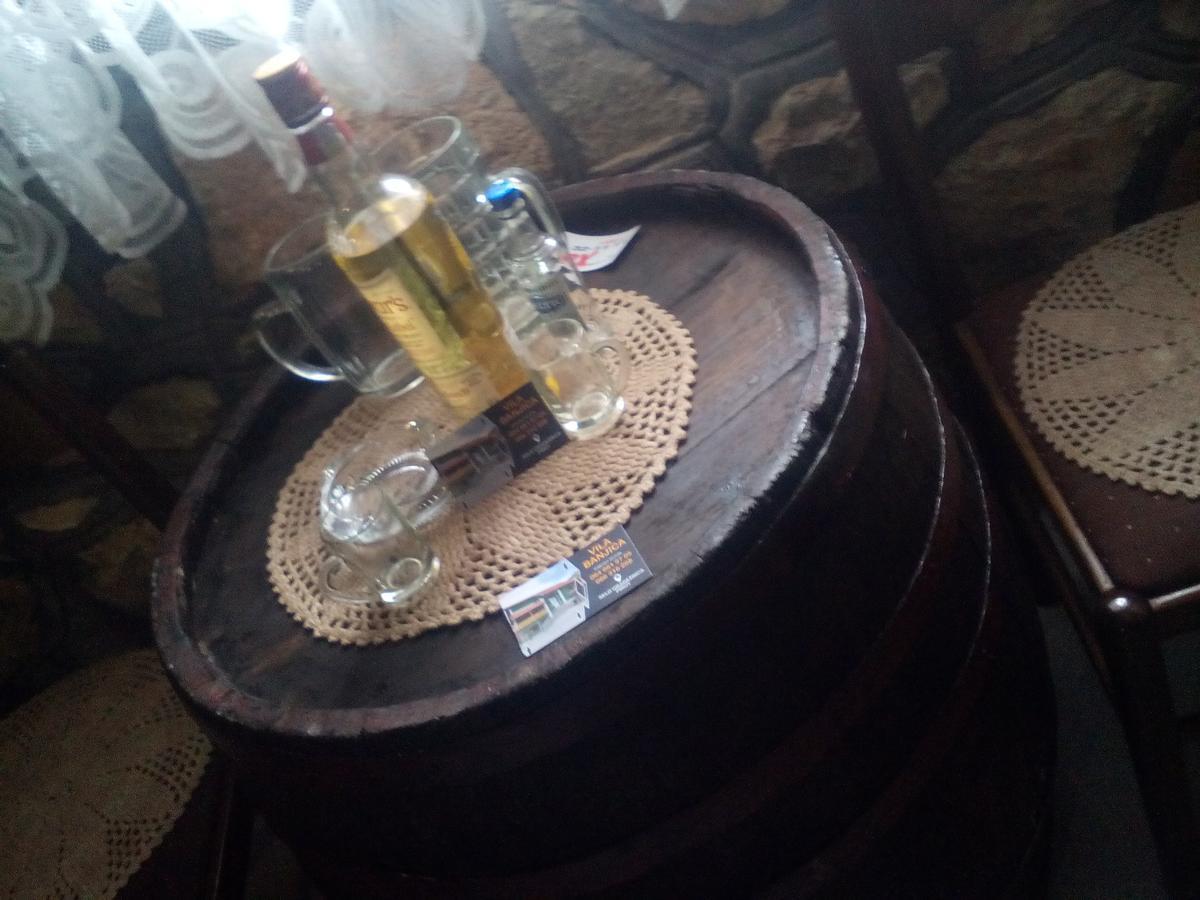 Guest House Vila Banjica Pirot Ngoại thất bức ảnh