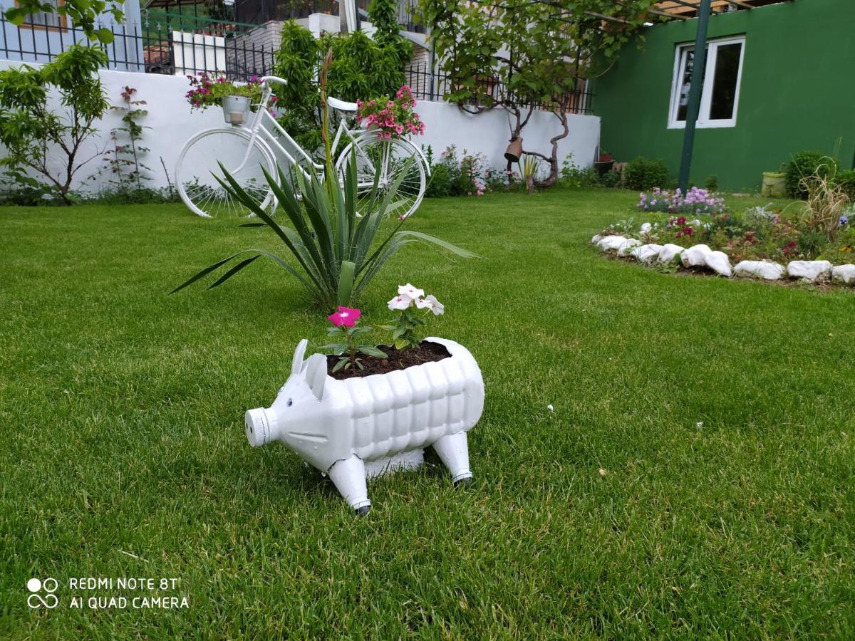 Guest House Vila Banjica Pirot Ngoại thất bức ảnh