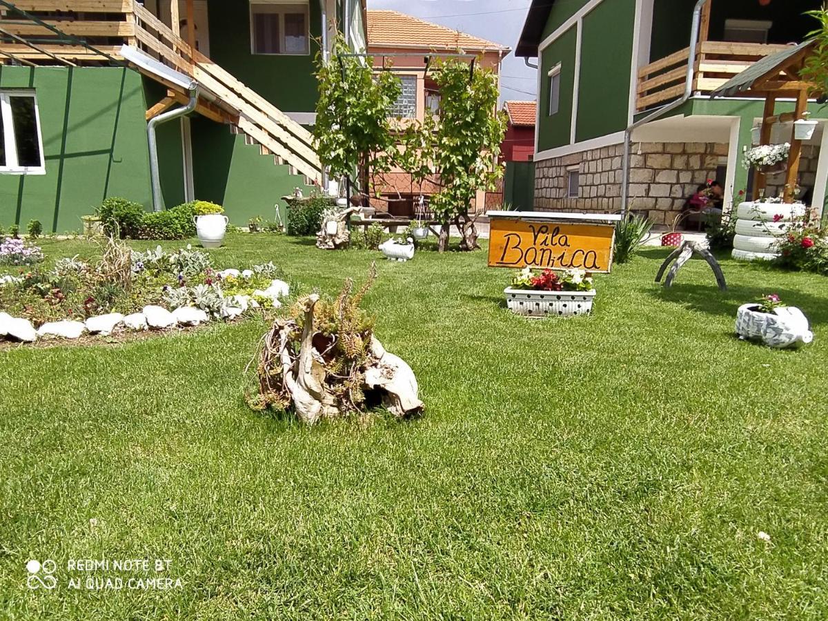Guest House Vila Banjica Pirot Ngoại thất bức ảnh
