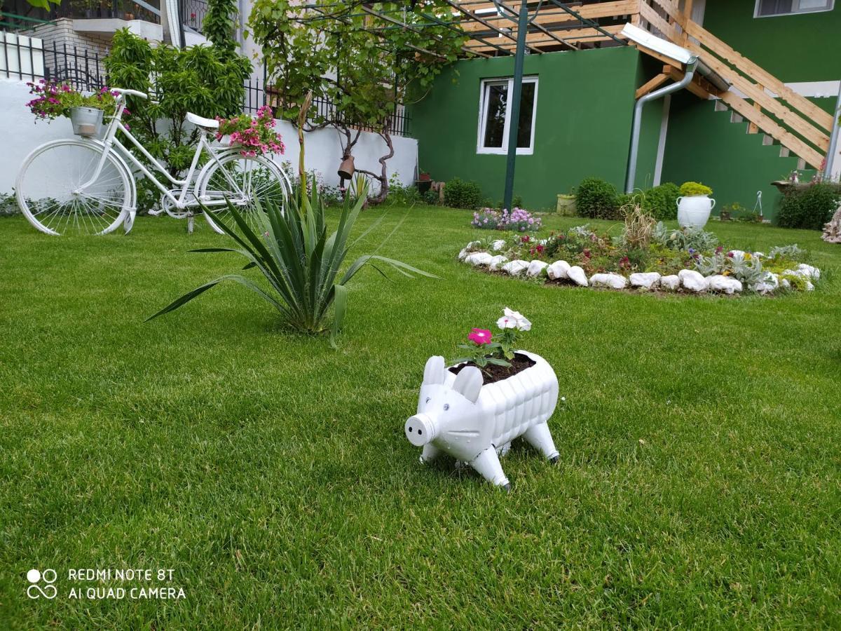 Guest House Vila Banjica Pirot Ngoại thất bức ảnh