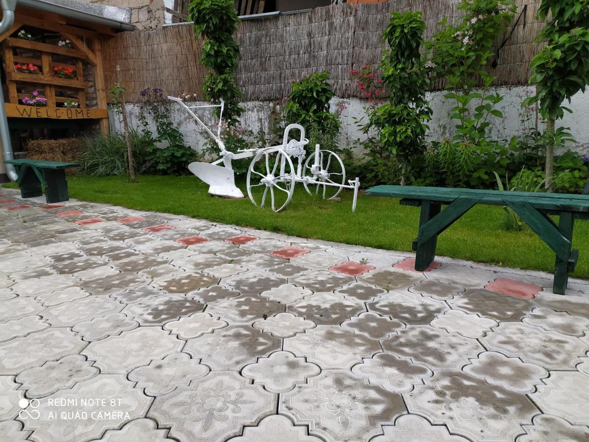 Guest House Vila Banjica Pirot Ngoại thất bức ảnh